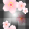 パターン背景素材00185黒灰色格子柄桜模様