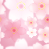 パターン背景素材00187ピンク色桜模様