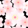 パターン背景素材00189黒色桜模様