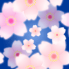 パターン背景素材00195紺色桜模様